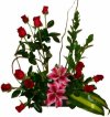 Docena rosas2