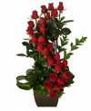 Rosas Espiral